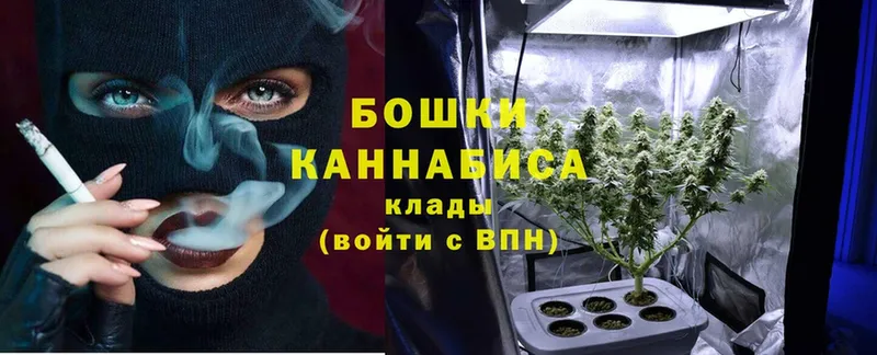 купить закладку  Красный Холм  Каннабис конопля 